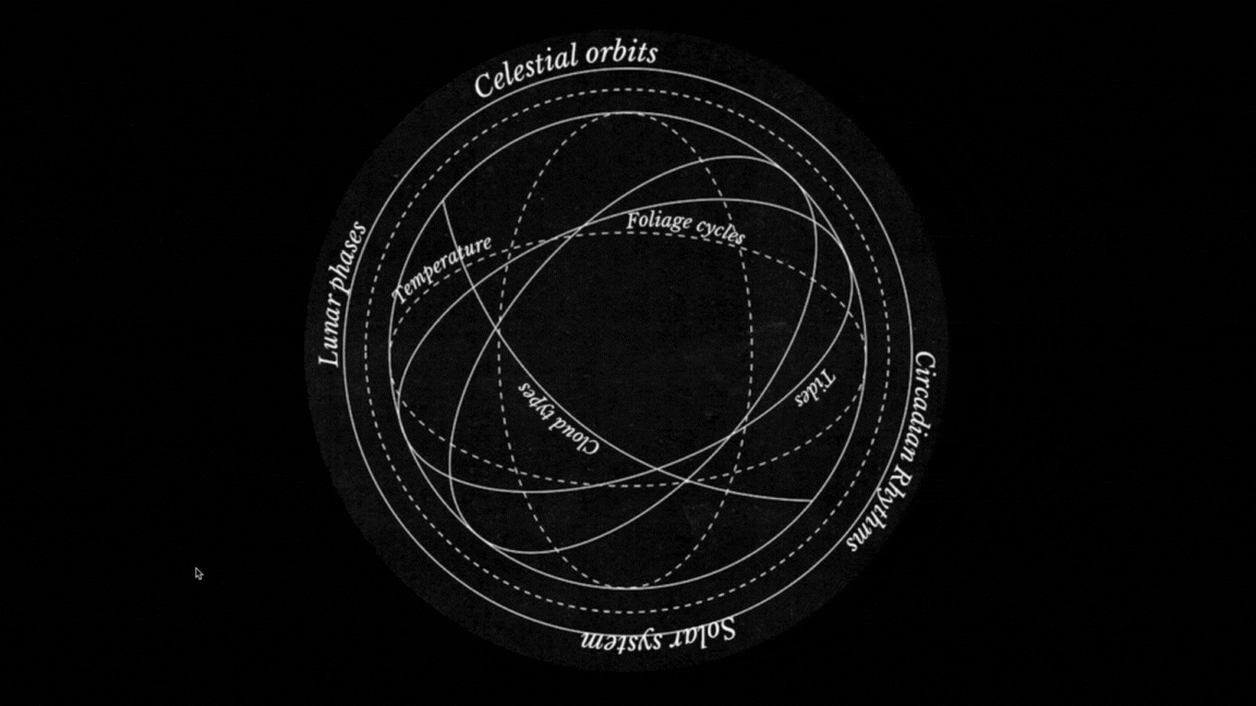 Time Study Visualization